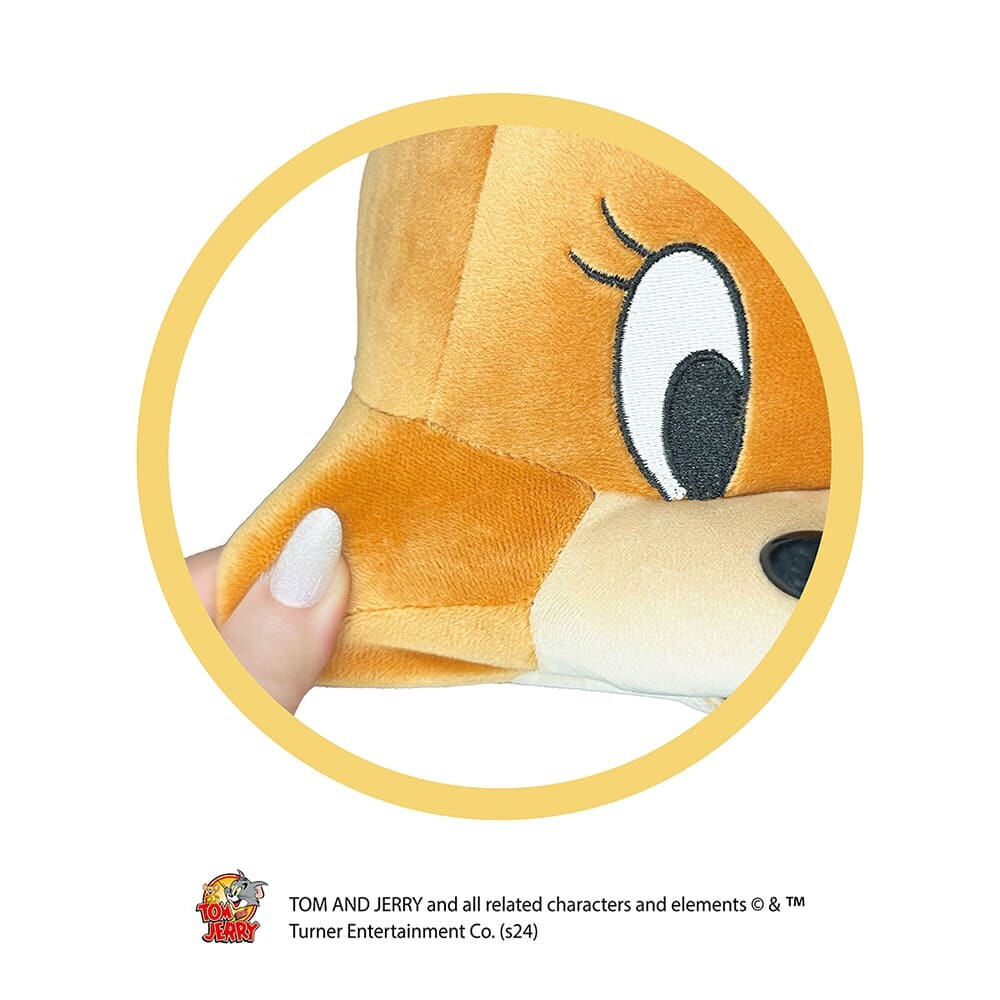 Tom and Jerry Mochimochi Cushion