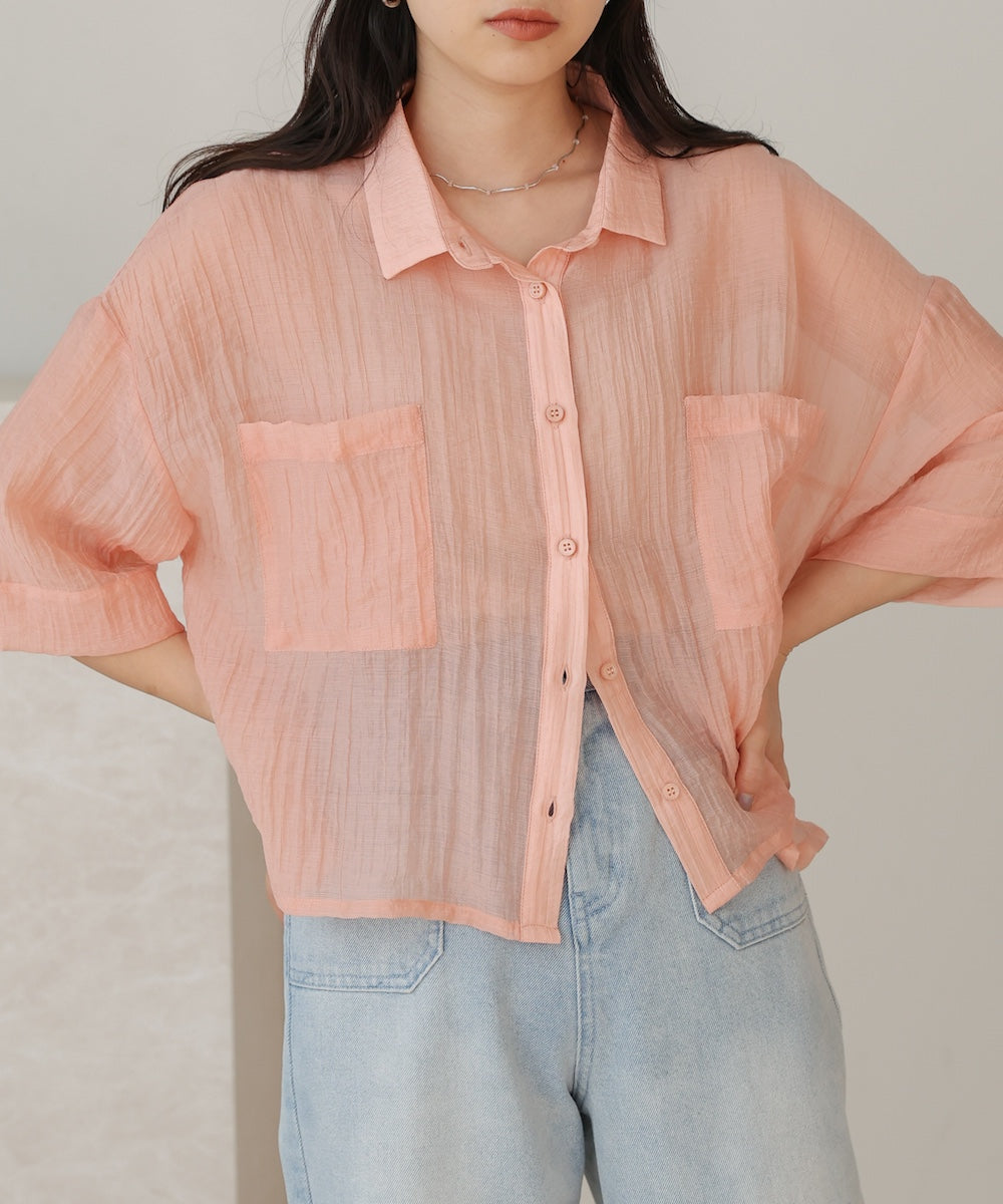 Sheer Short Shirt Blouse