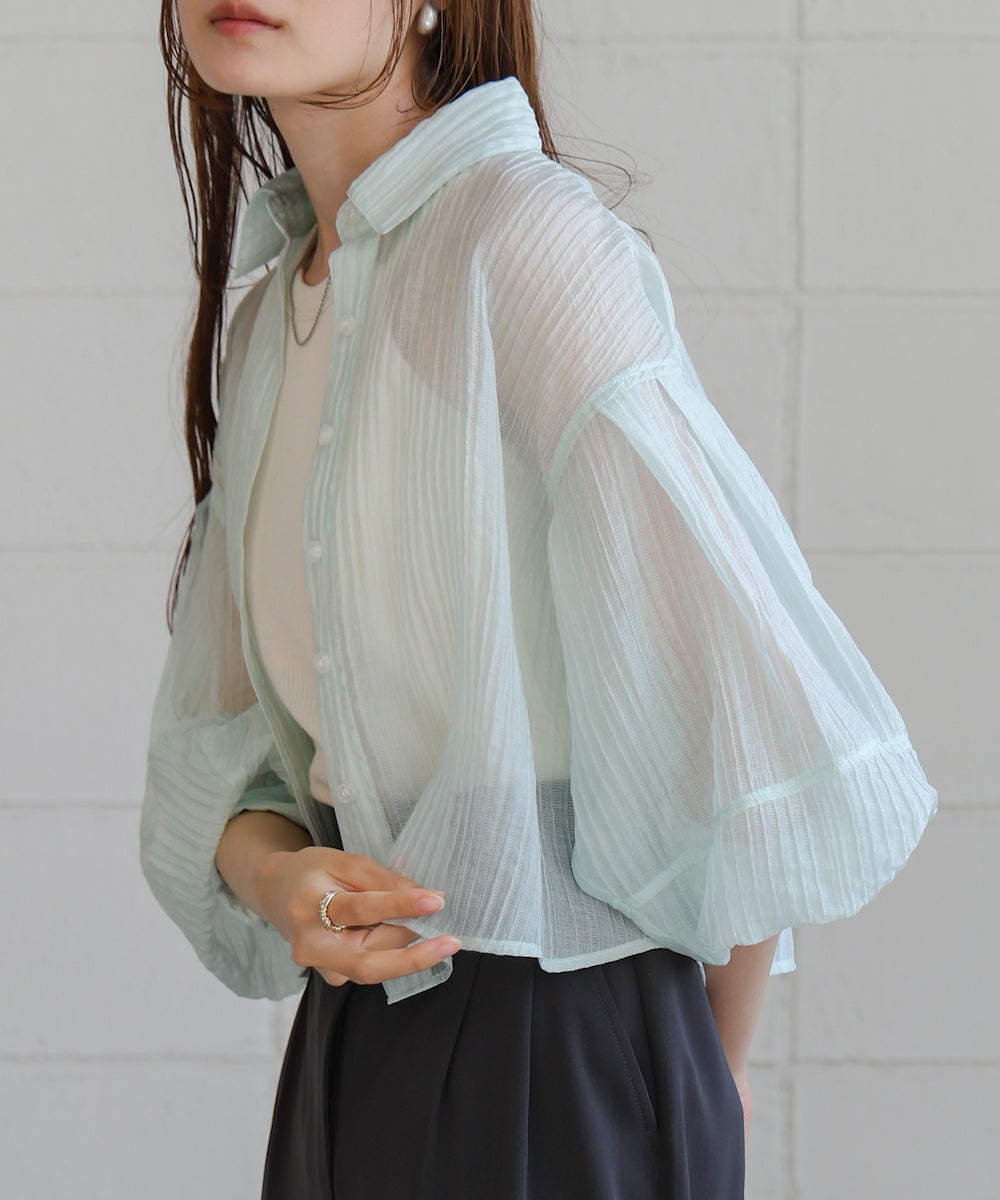 Tuck Sleeve Compact Sheer Shirt Blouse