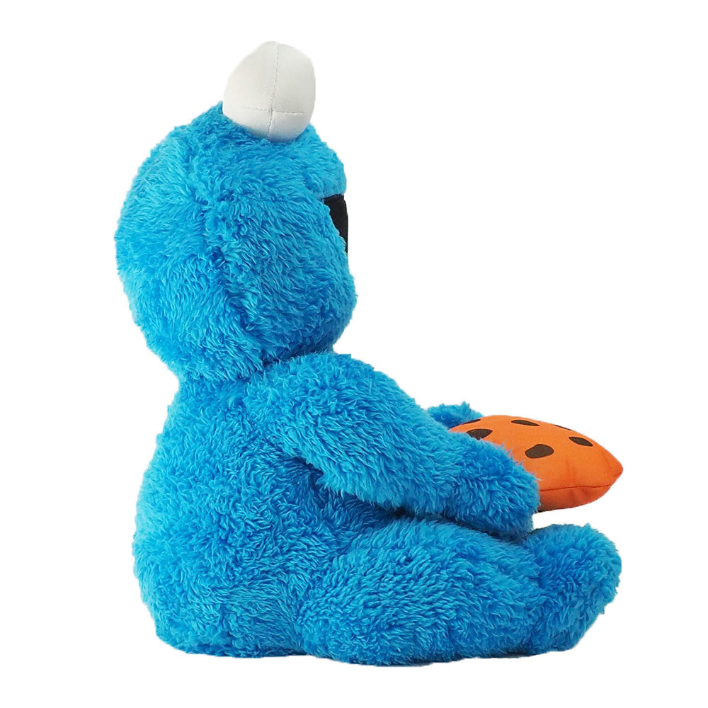 GUND Sesame Street Peekaboo Cookie Monster
