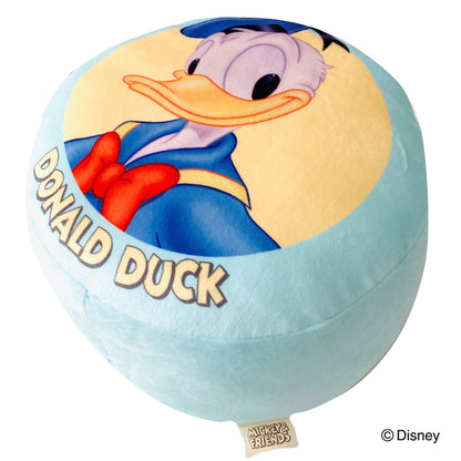 Disney Characters Mini Cushion