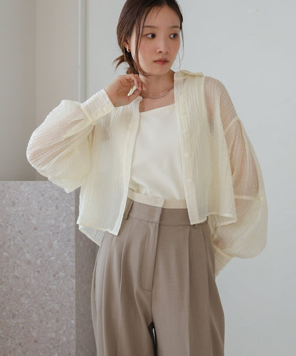 Tuck Sleeve Compact Sheer Shirt Blouse