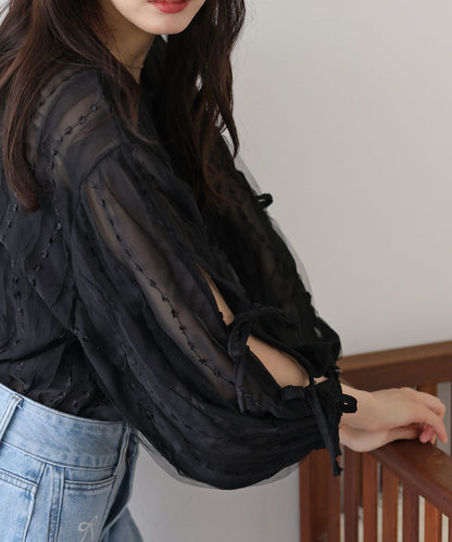 Tulle Lace Sheer Blouse