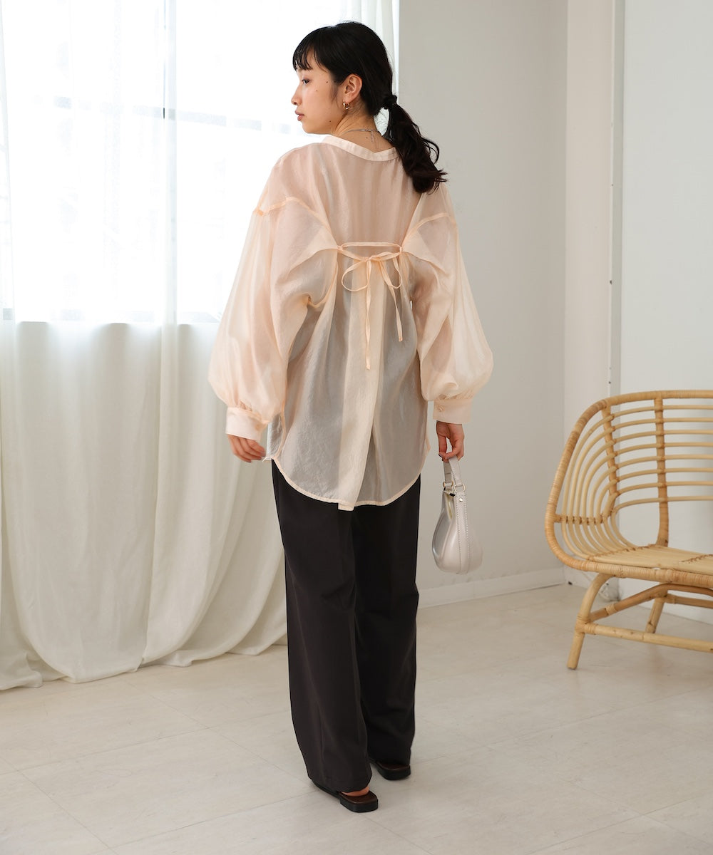 Curve Design Sheer Blouse