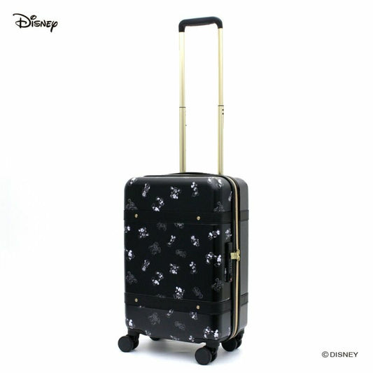  Disney luggage bag (S/M) 