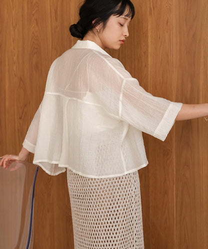 Sheer Short Shirt Blouse