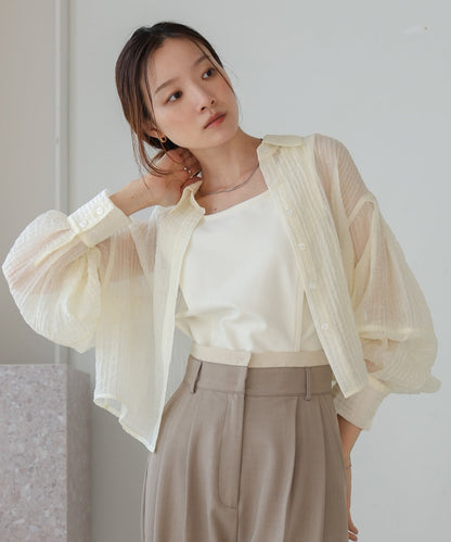 Tuck Sleeve Compact Sheer Shirt Blouse