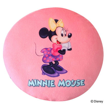 Disney Characters Mini Cushion