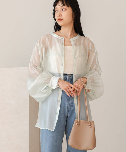 Curve Design Sheer Blouse