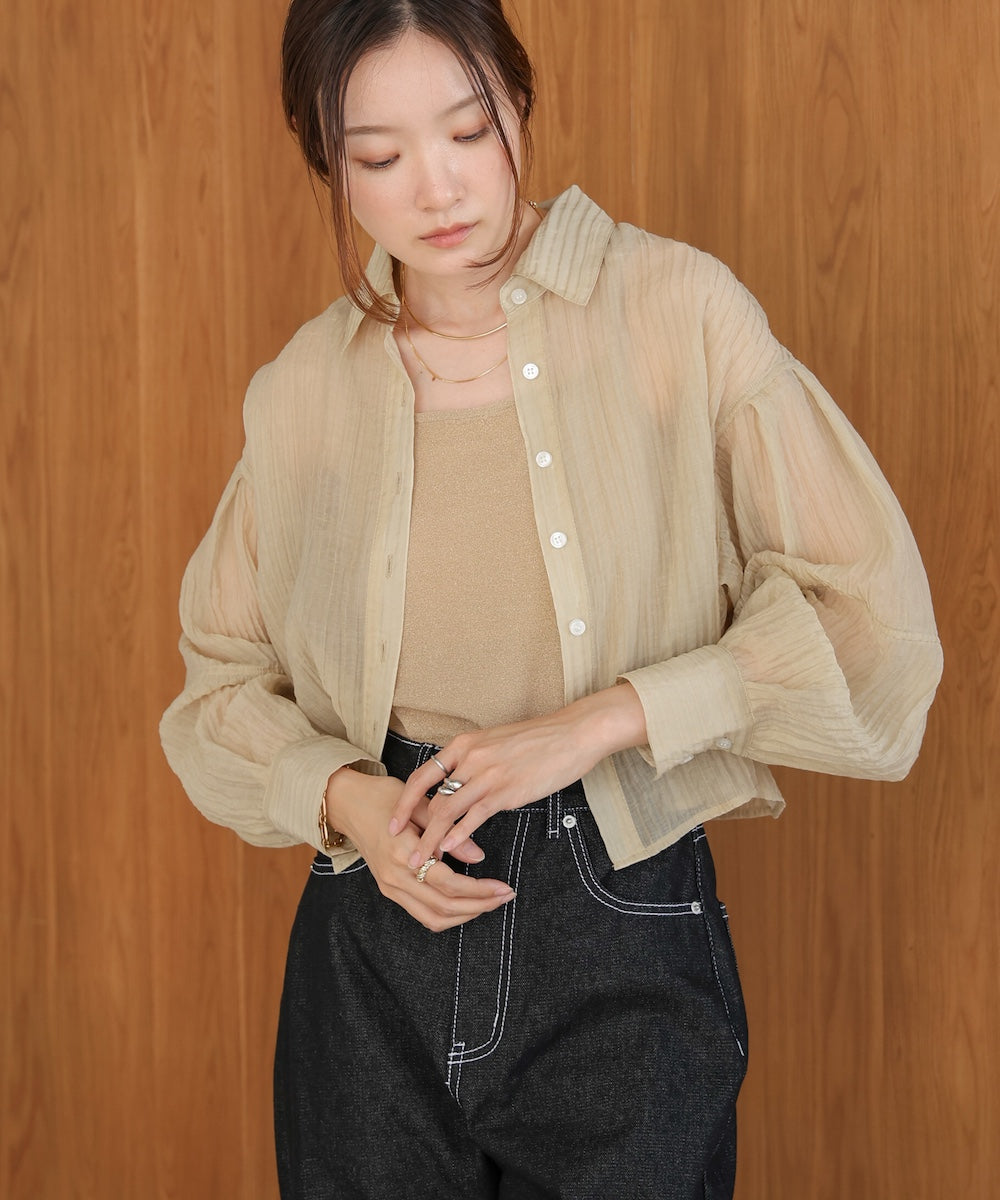 Tuck Sleeve Compact Sheer Shirt Blouse