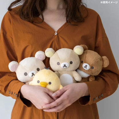 NEW BASIC RILAKKUMA vol.2