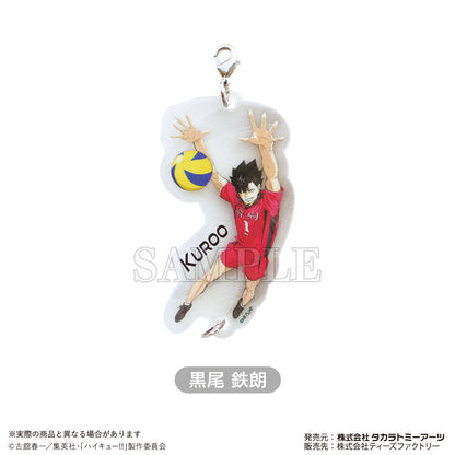 Haikyu!! Key Chain Charm 1 Box 8 pcs