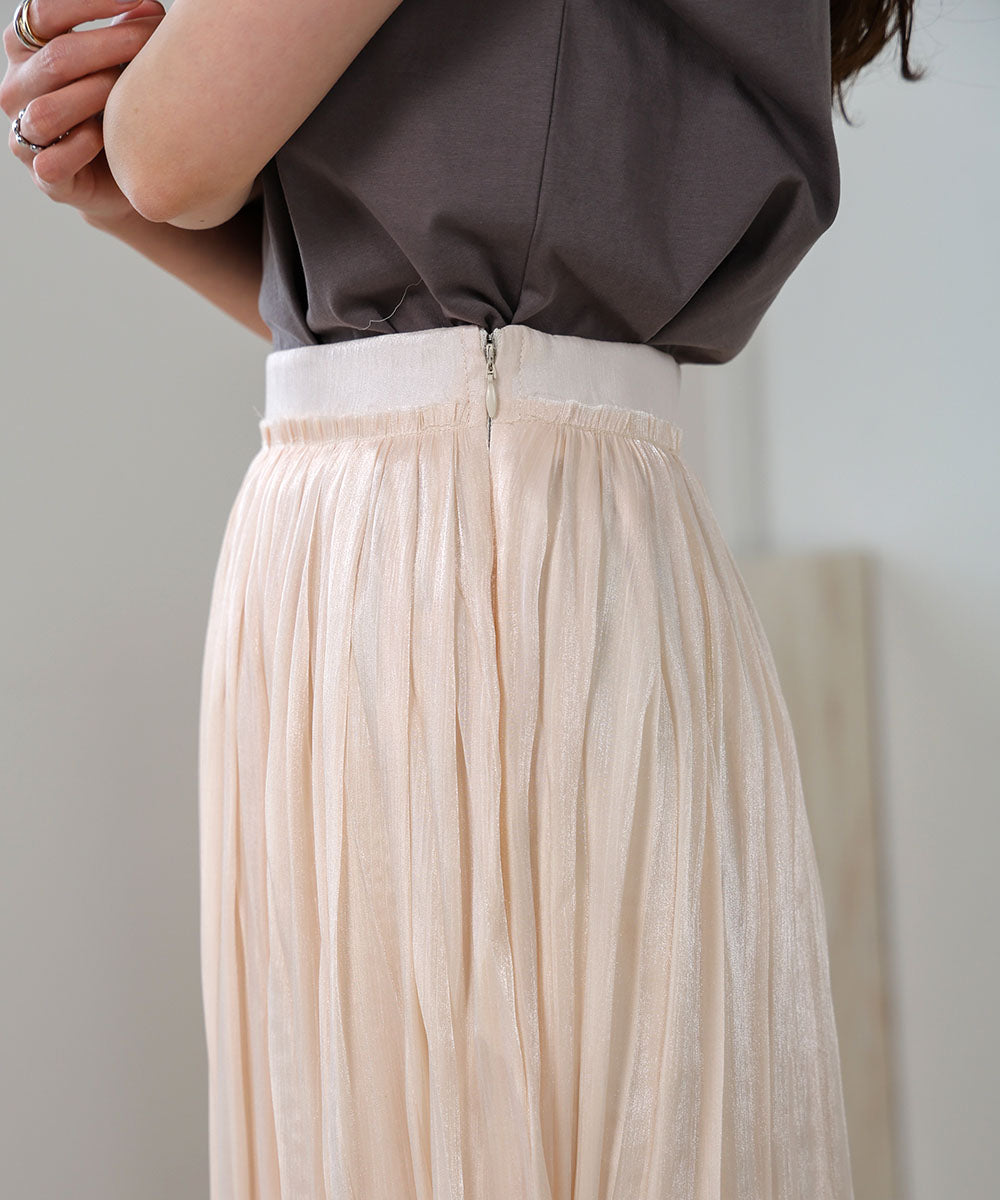 Sheer Glitter Pleated Skirt