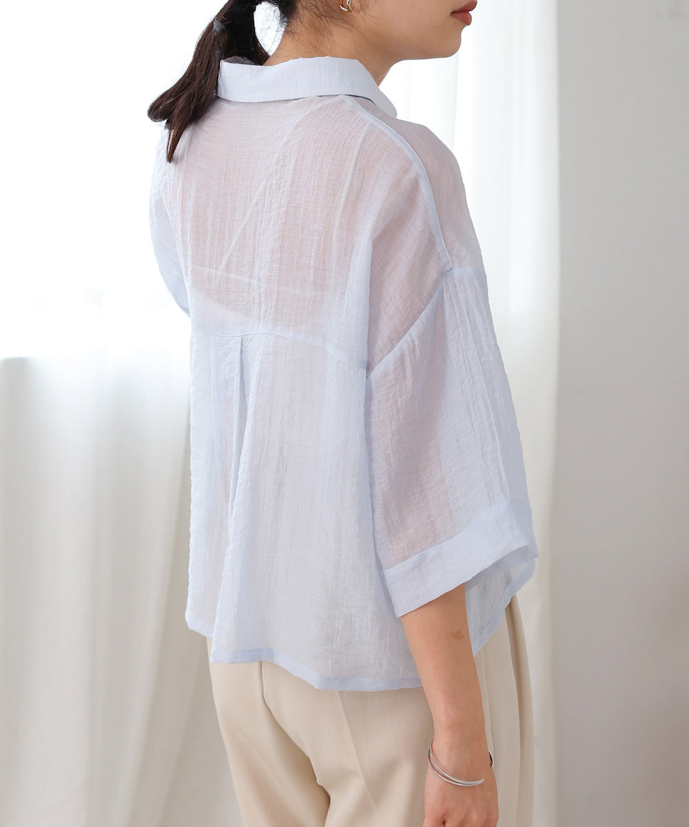 Sheer Short Shirt Blouse