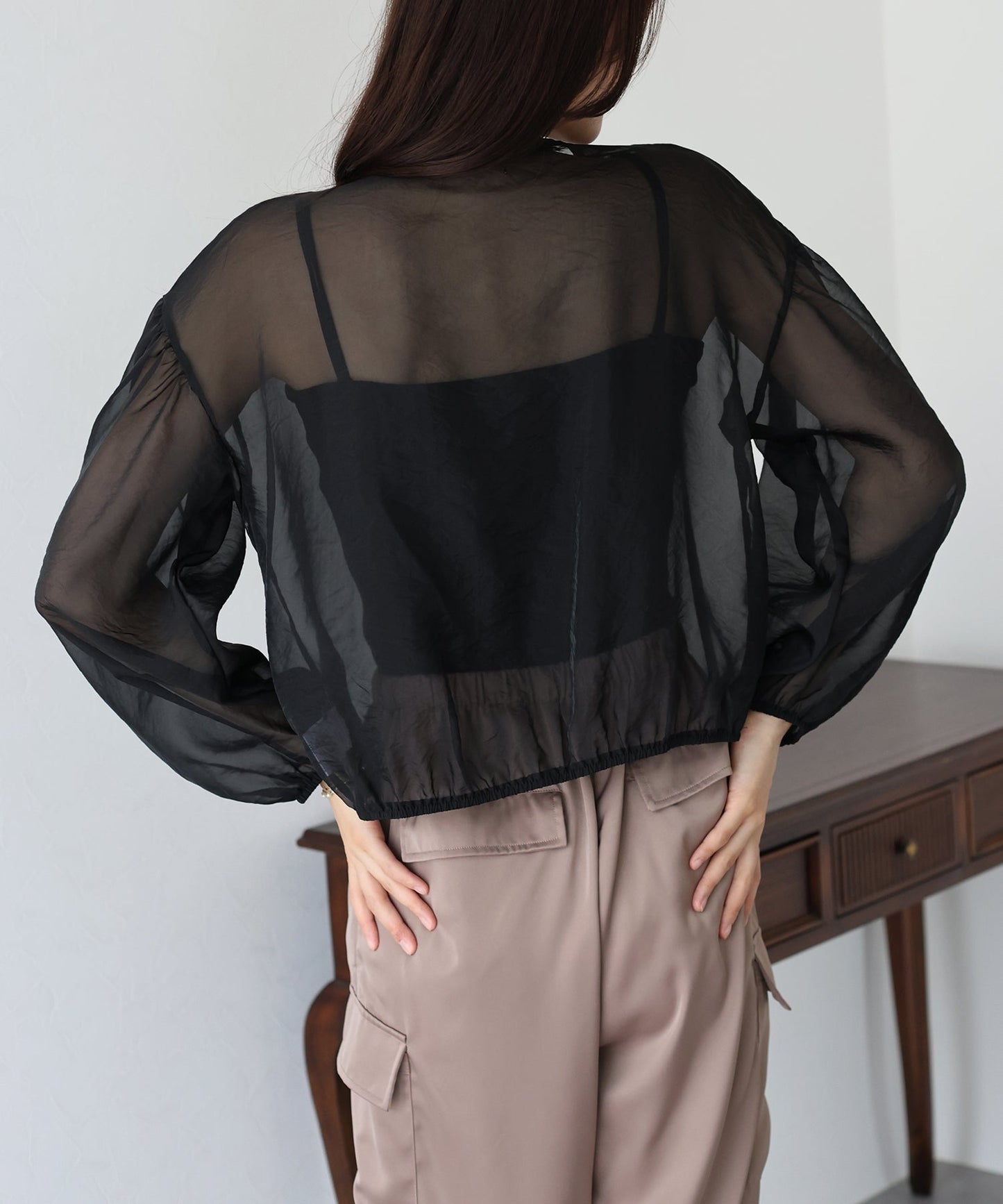 Ribbon Sheer Blouse