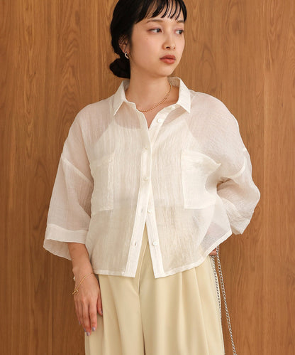 Sheer Short Shirt Blouse