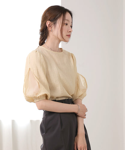 Blouse With Volume Sheer Sleeves