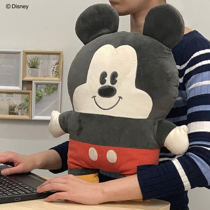  Disney Characters Pillow 