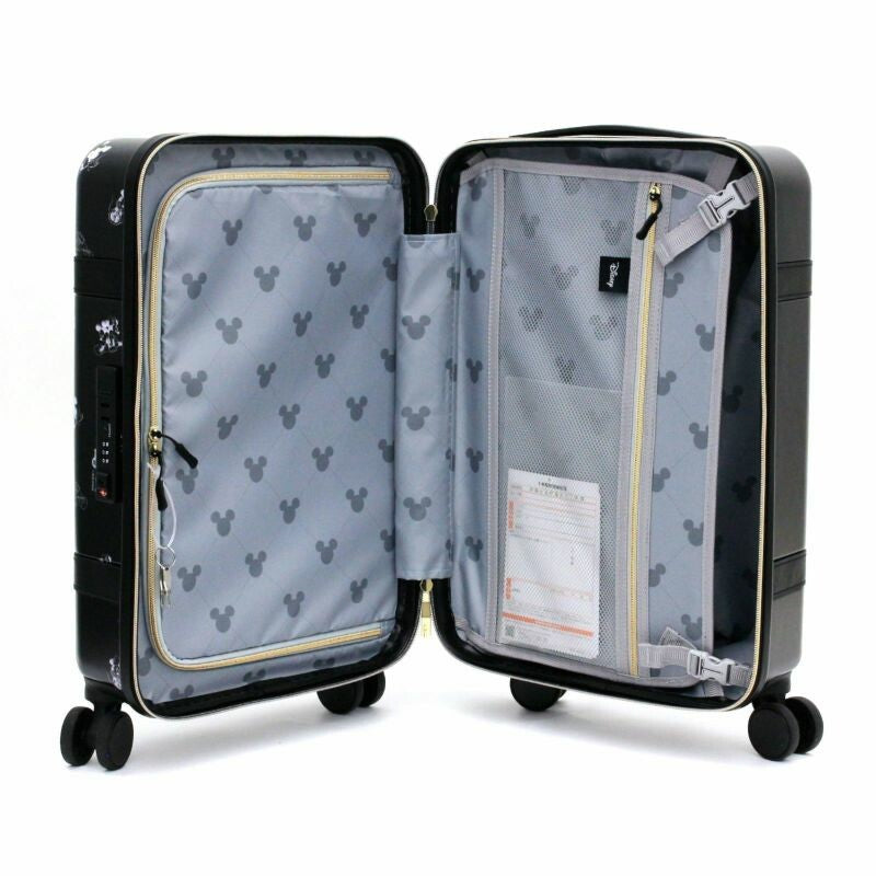  Disney luggage bag (S/M) 