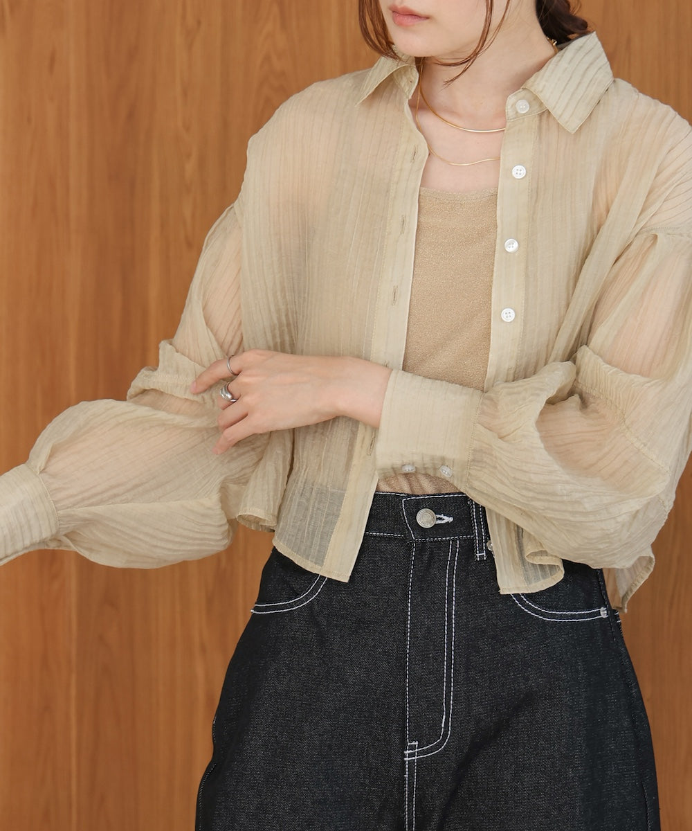 Tuck Sleeve Compact Sheer Shirt Blouse