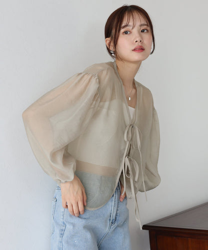 Ribbon Sheer Blouse