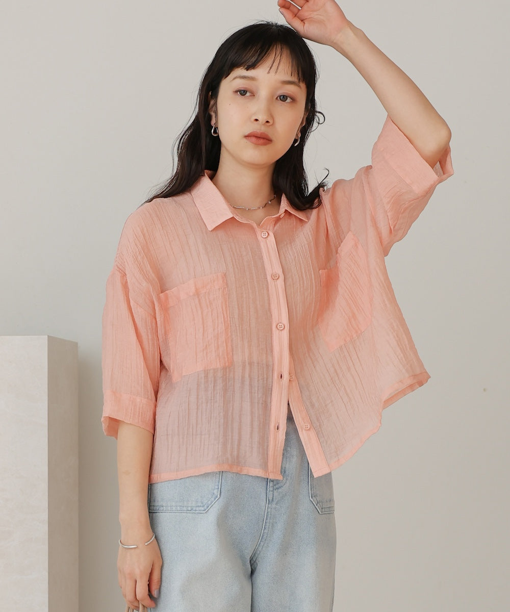 Sheer Short Shirt Blouse