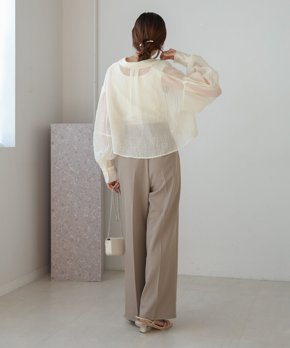 Tuck Sleeve Compact Sheer Shirt Blouse