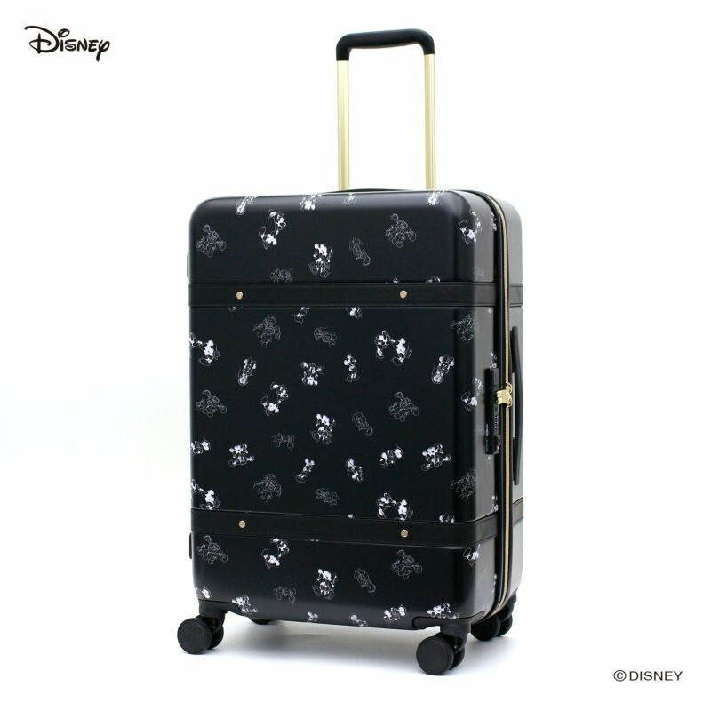  Disney luggage bag (S/M) 