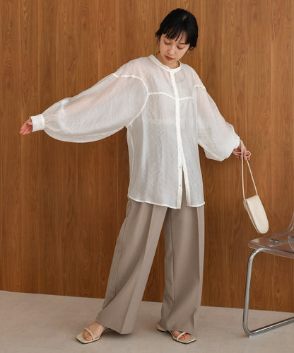 Curve Design Sheer Blouse