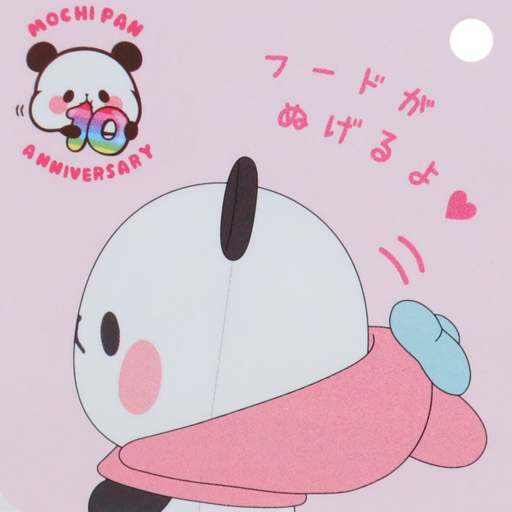 Sanrio x Mochi Mochi Panda