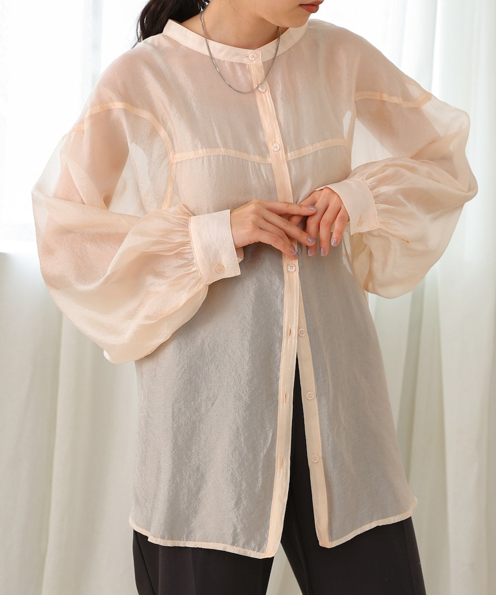 Curve Design Sheer Blouse