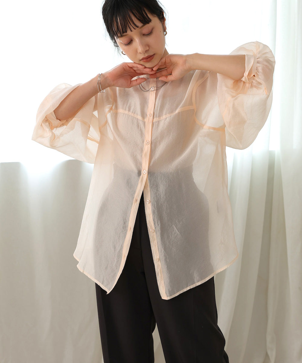 Curve Design Sheer Blouse