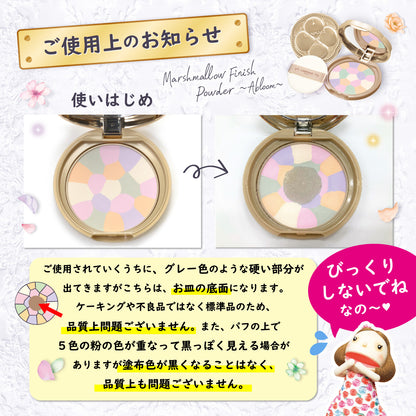 透亮美肌蜜粉餅 潤色版