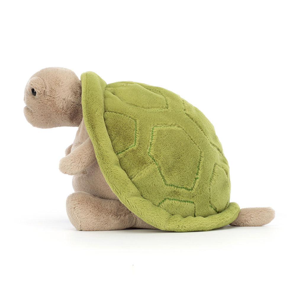 Timmy Turtle - medium