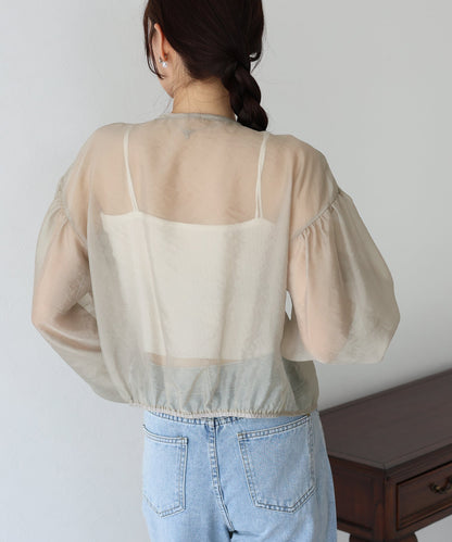 Ribbon Sheer Blouse