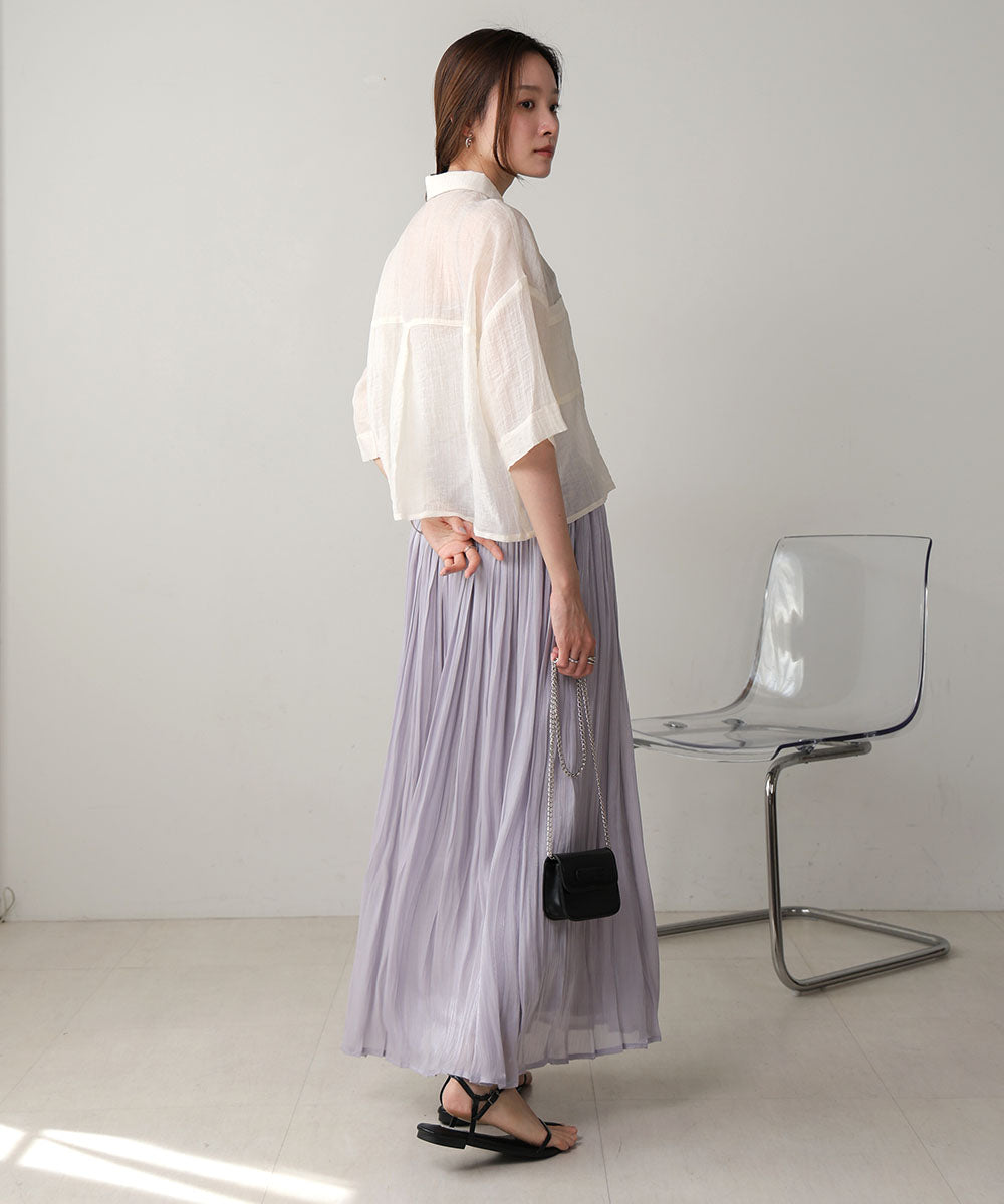 Sheer Glitter Pleated Skirt