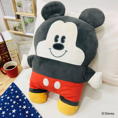  Disney Characters Pillow 