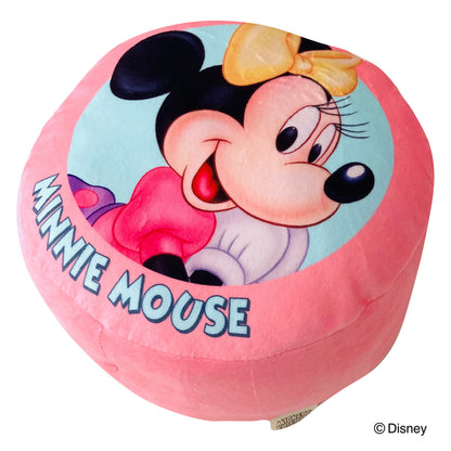 Disney Characters Mini Cushion