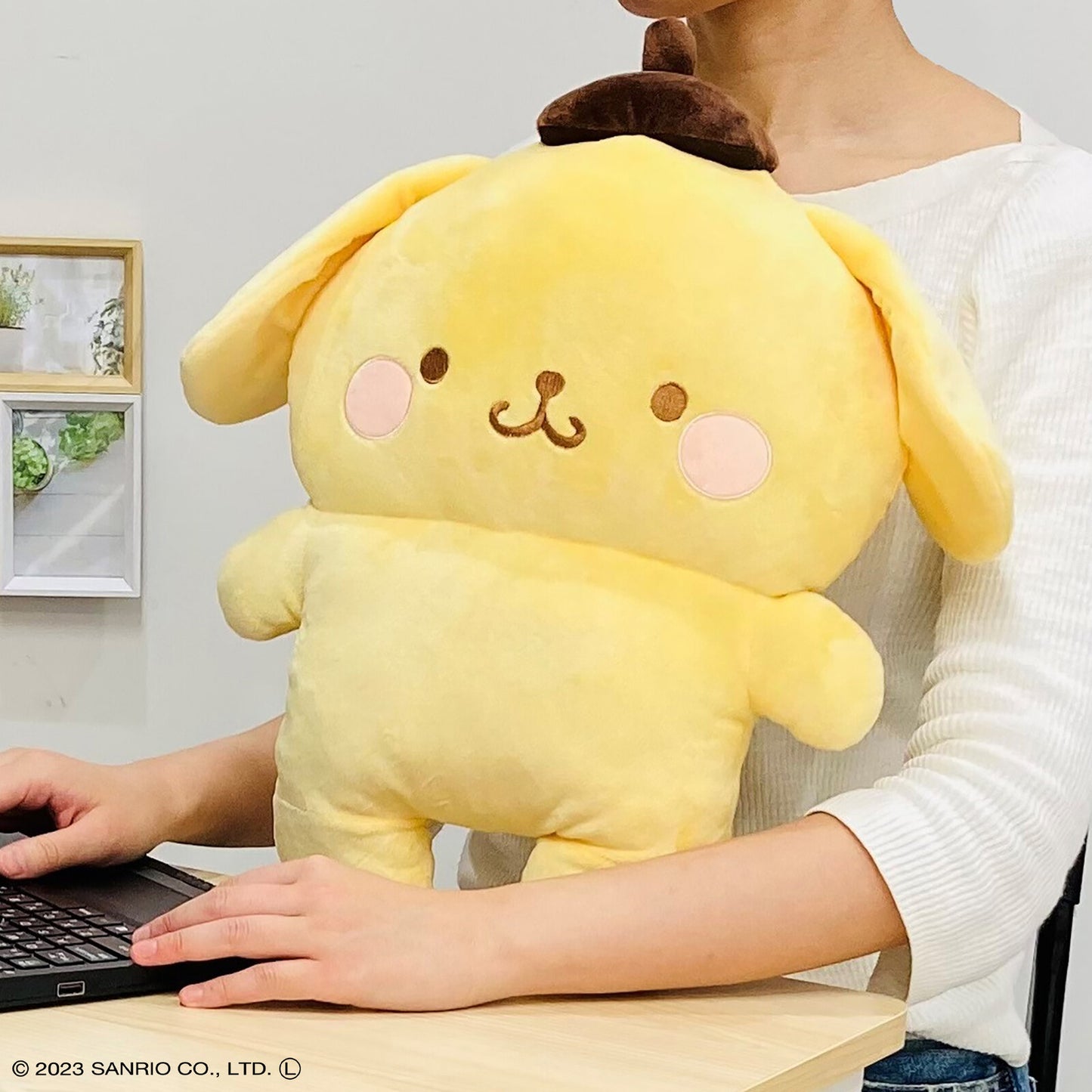  Sanrio Characters Pillow 