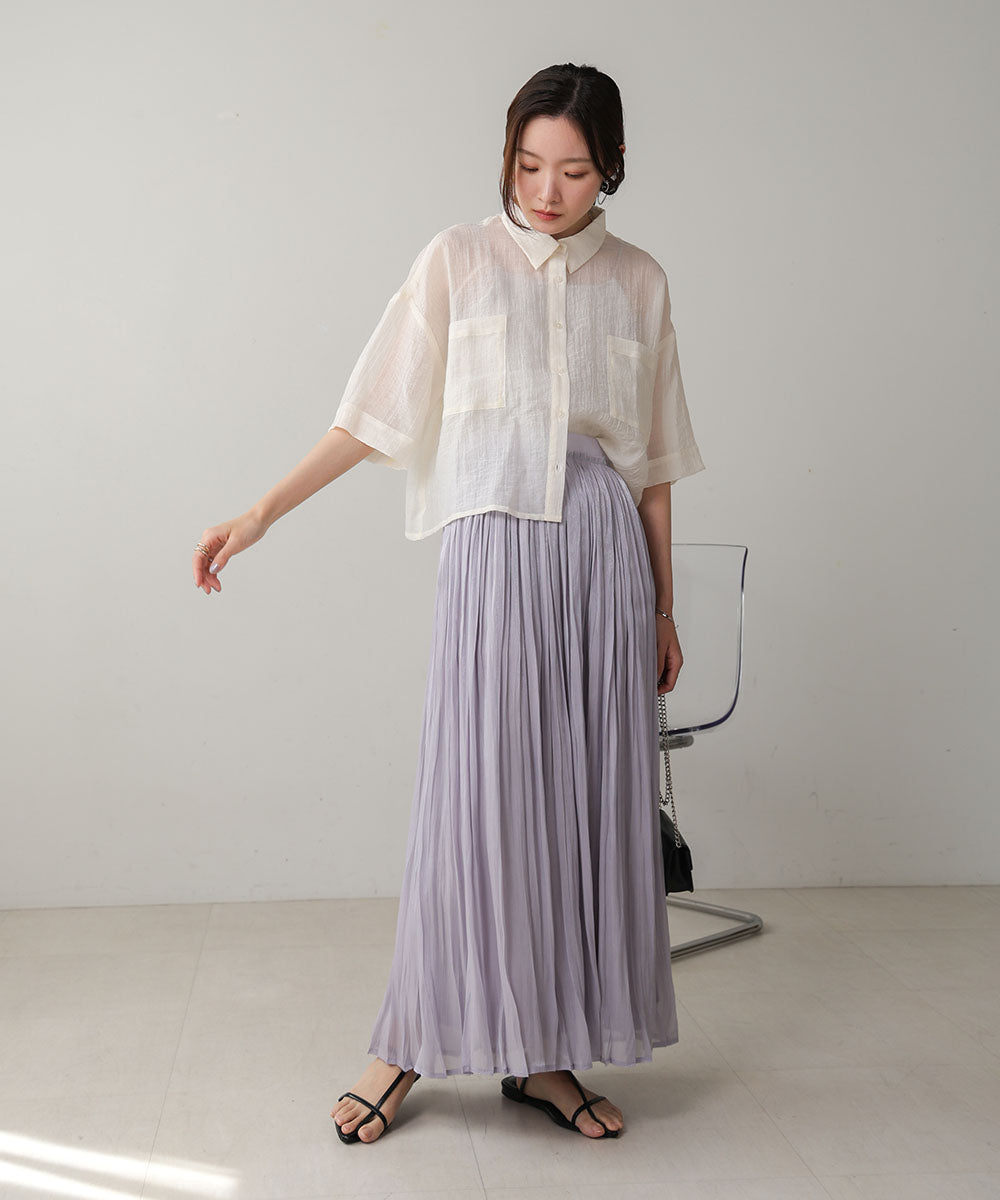 Sheer Glitter Pleated Skirt