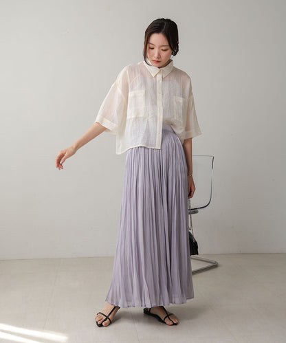 Sheer Glitter Pleated Skirt