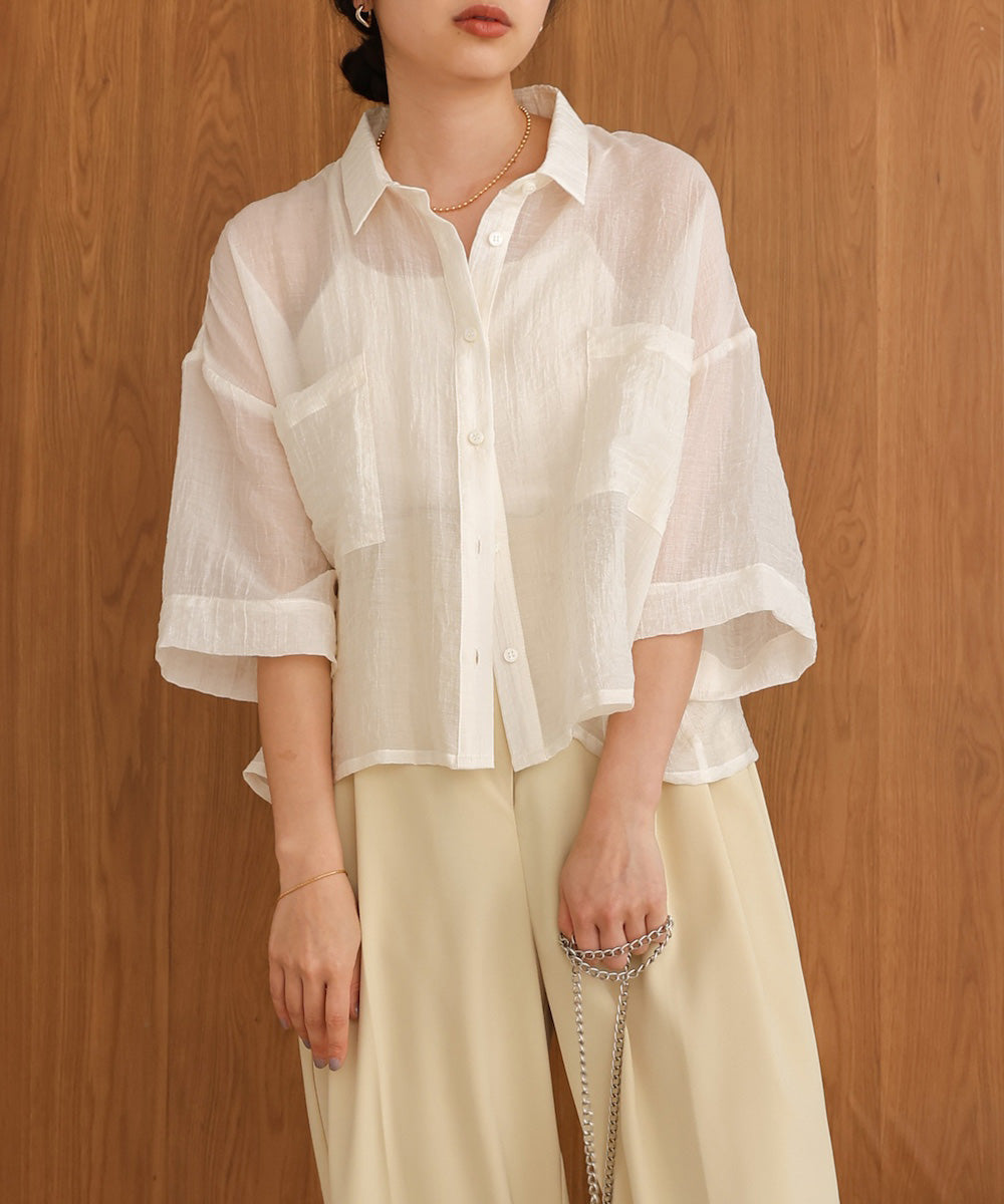 Sheer Short Shirt Blouse