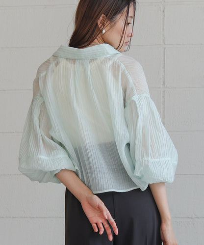 Tuck Sleeve Compact Sheer Shirt Blouse