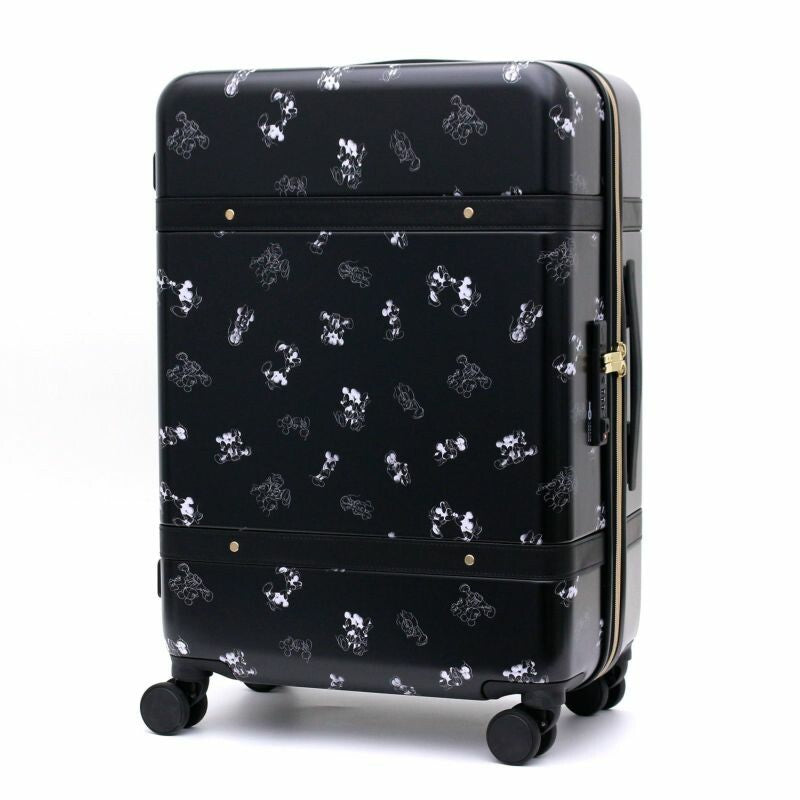  Disney luggage bag (S/M) 