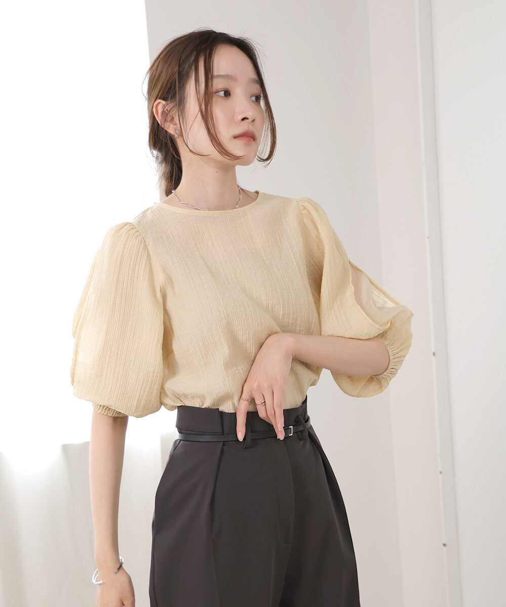 Blouse With Volume Sheer Sleeves