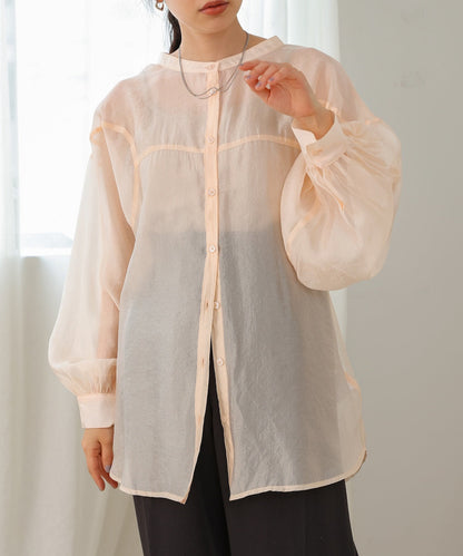 Curve Design Sheer Blouse