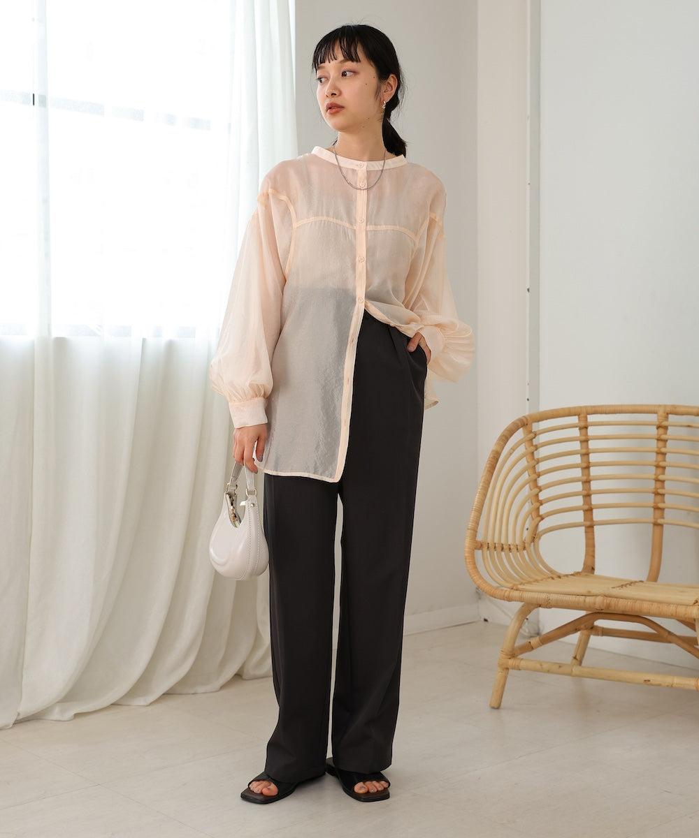 Curve Design Sheer Blouse