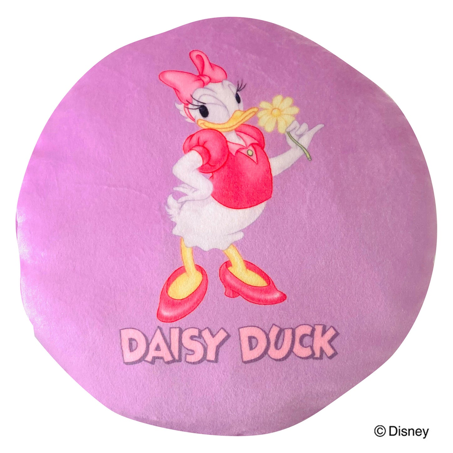 Disney Characters Mini Cushion