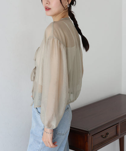 Ribbon Sheer Blouse