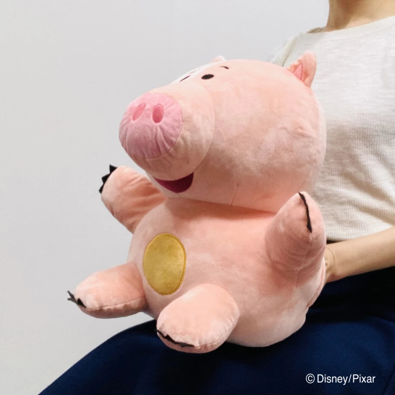 Toy Story Piglet Hand Warmer Pillow Figure [In stock]